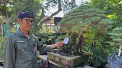 Gilimanuk Wakili Kecamatan Melaya Ikuti Lomba Gang Hijau Tingkat Kabupaten Jembrana 2026