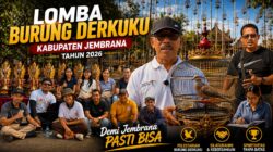 Lomba Derkuku Meriahkan HUT Kota Negara Ke-131 Kabupaten Jembrana