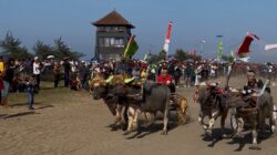 Jadi Joki Mekepung, Kembang- Ipat Jajal Keseruan Festival Mekepung 2026